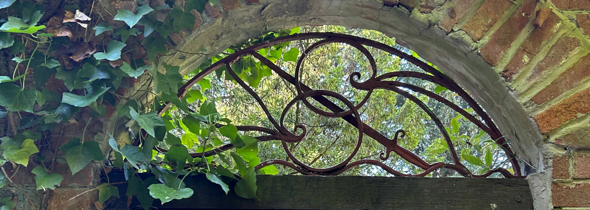 The Trinity of Transformation™ — Returning to Wholeness Through Mind, Body & Soul