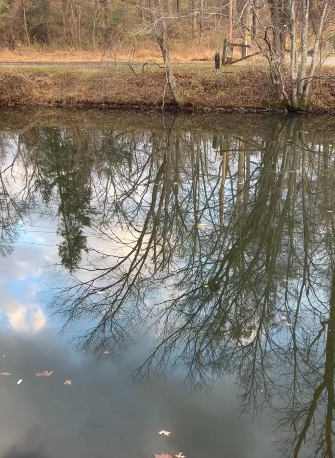 FLOWING IN STILLNESS: ALIGN YOUR ENERGY AND RETURN TO YOUR NATURAL RHYTHM